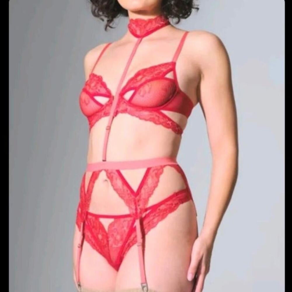 Thistle and Spire Kane Lace Strappy Garter Belt With Removable Choker NWT